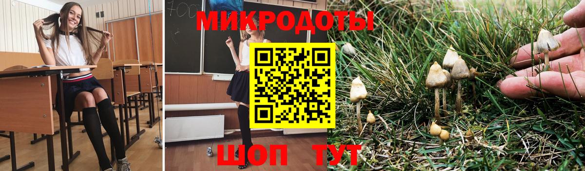 Галлюциногенные грибы Psilocybine cubensis  Вход с VPN  Камень-на-Оби 
